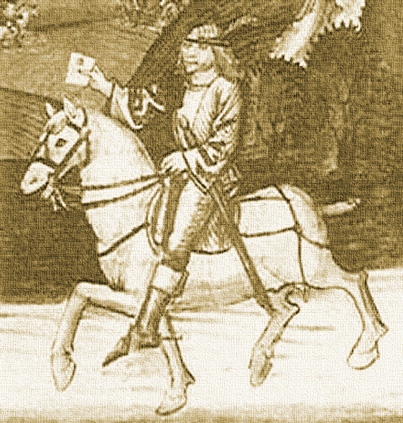 Dei Procaccioli qui vi scrivo